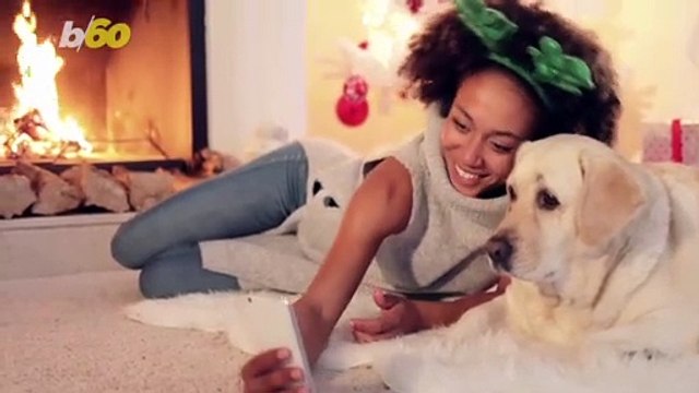 Take Note Dog Owners! Your Furry Friends Need Entertainment Too!