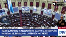 El discurso de la legisladora misionera Flavia Morales en el debate por la legalización del aborto