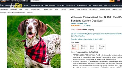 These Gifts Are Sure To Make Your Pet Happy