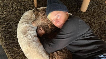 Ellen DeGeneres anuncia que contrajo coronavirus y entra en aislamiento