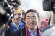 Andrew Yang Will Likely Run for Mayor of NYC