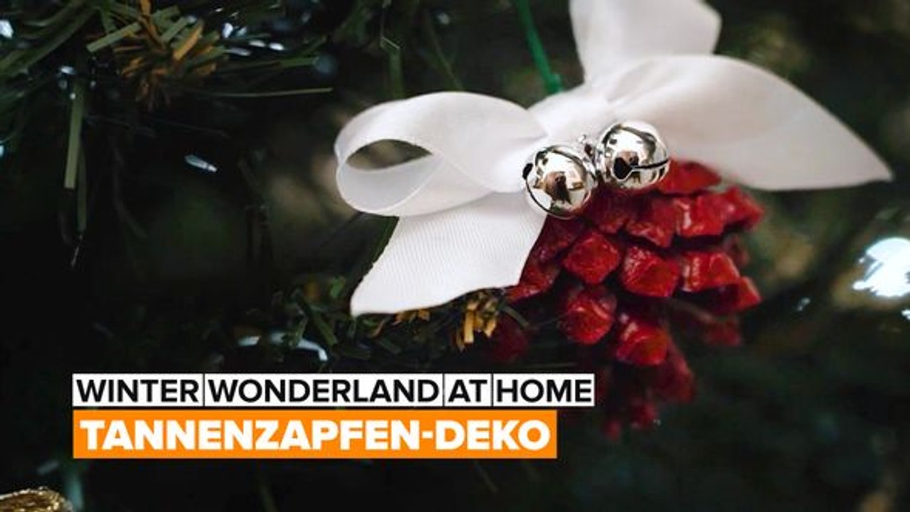 Winterdeko: edle tannenzapfen