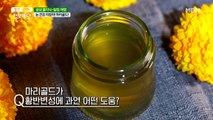 소중한 눈을 지켜주는 금(GOLD)? 마리골드!