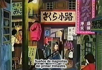 Midori,la niña de las camelias