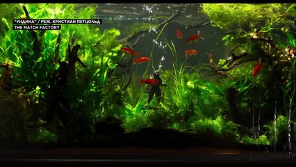 Номинанты на "европейский Оскар"