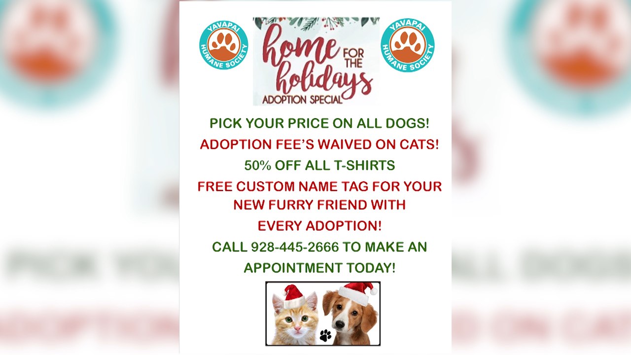 Yavapai Humane Society Holiday Adoption Special