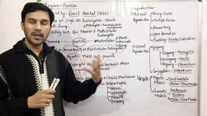 Kingdom-Protista-1(General Features)