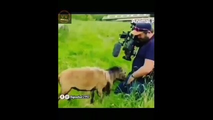 Funny videos ❌❌❌|| comady ka dhamaka || full masti || from viral videos