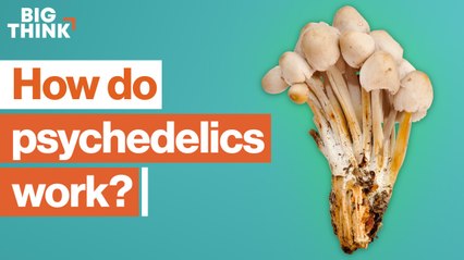 Psychedelics: The scientific renaissance of mind-altering drugs