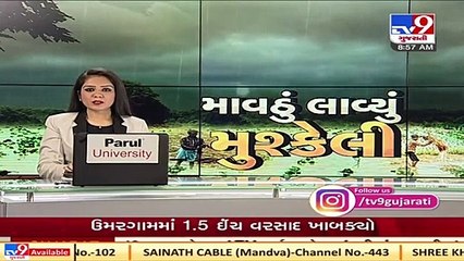 Vehicular movement affected due to foggy weather in Banaskantha