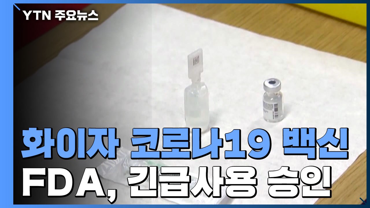 美 FDA, 화이자 코로나19 백신 긴급 사용 승인 / YTN