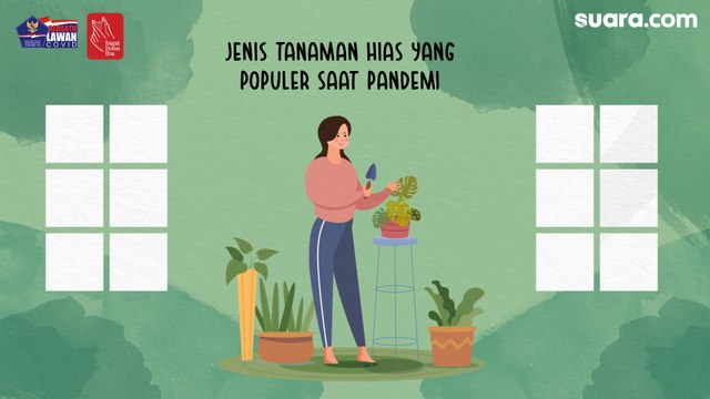 Videografis: Jenis Tanaman Hias yang Populer saat Pandemi