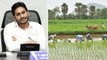 AP CM YS Jagan Mohan Reddy on Lease Farmers Loans