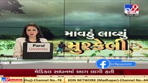 Farmers worried due to unseasonal rain in Sabarkantha   Tv9News