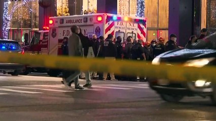 Ν. Υόρκη: Όχημα έπεσε σε πλήθος διαδηλωτών