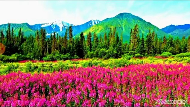 مقطع رائع جدا أجمل صوت حزين في تجويد القرآن الكريم