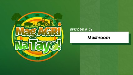 "MUSHROOM" Mag-Agri Na Tayo! Ep-26