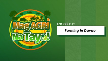 "FARMING IN DAVAO" Mag-Agri Na Tayo! Ep-27