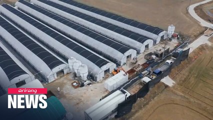 Temporary travel ban this weekend to curb highly pathogenic bird flu