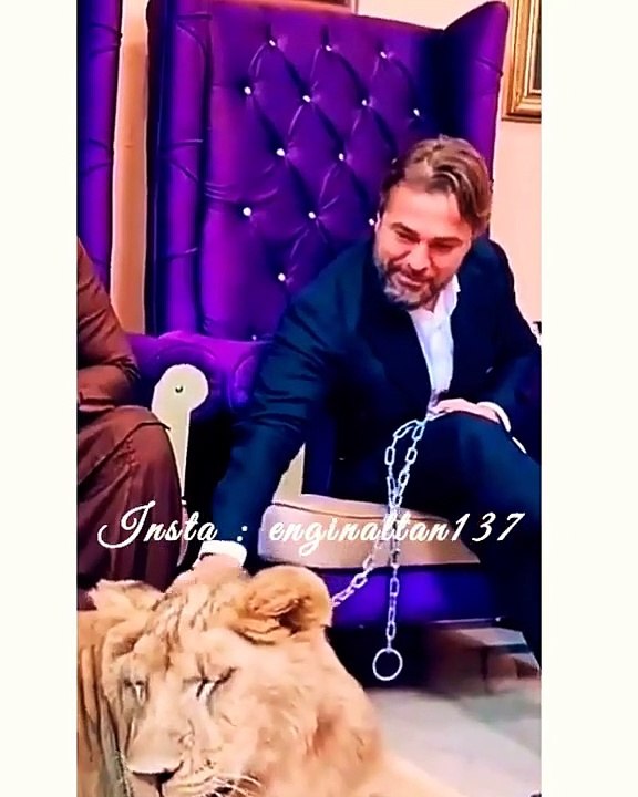 Engin Altan Düzyatan Playing With Lion _Kashifzameer Lion _Ertugrul Ghazi St