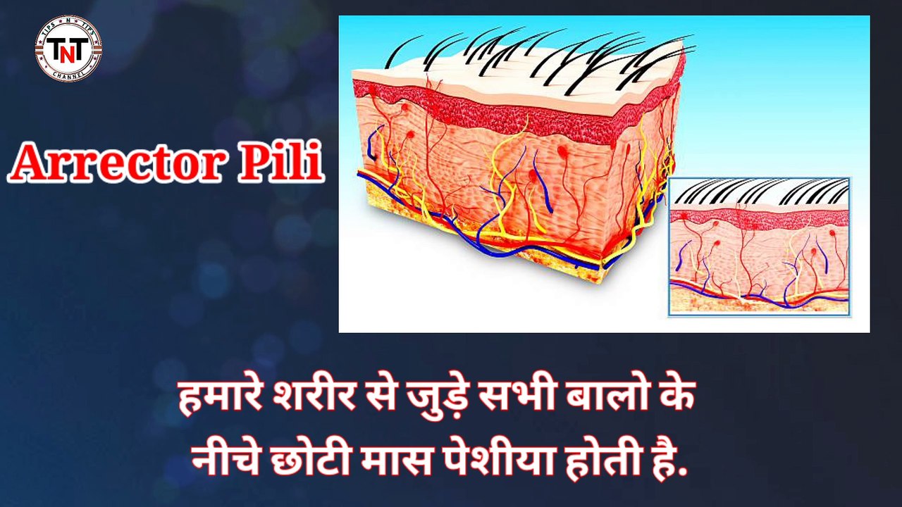 sharir me rongte kis wajah se khade hote hai