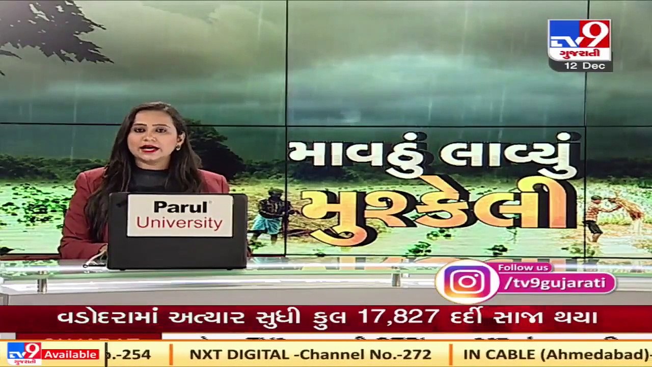 Farmers suffer crop loss due to unseasonal rain in Gujarat, demand compensation  TV9News