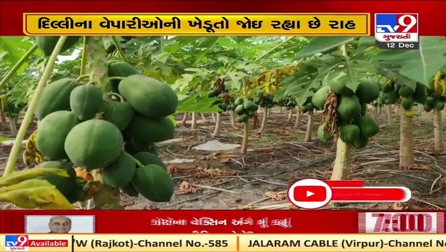 Farmers in central Gujarat affected due to protest over farm laws in Delhi TV9News