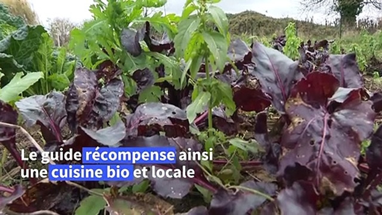 Gastronomie: Gault et Millau désigne le chef Christophe Hay "cuisinier de l'année"