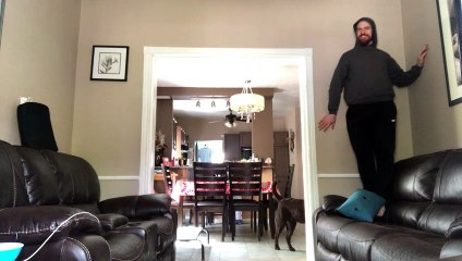 Caesar The Chocolate Lab Can't Find Hiding Human