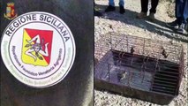 Favara (AG) - Polizia libera 7 cardellini detenuti illegalmente (12.12.20)