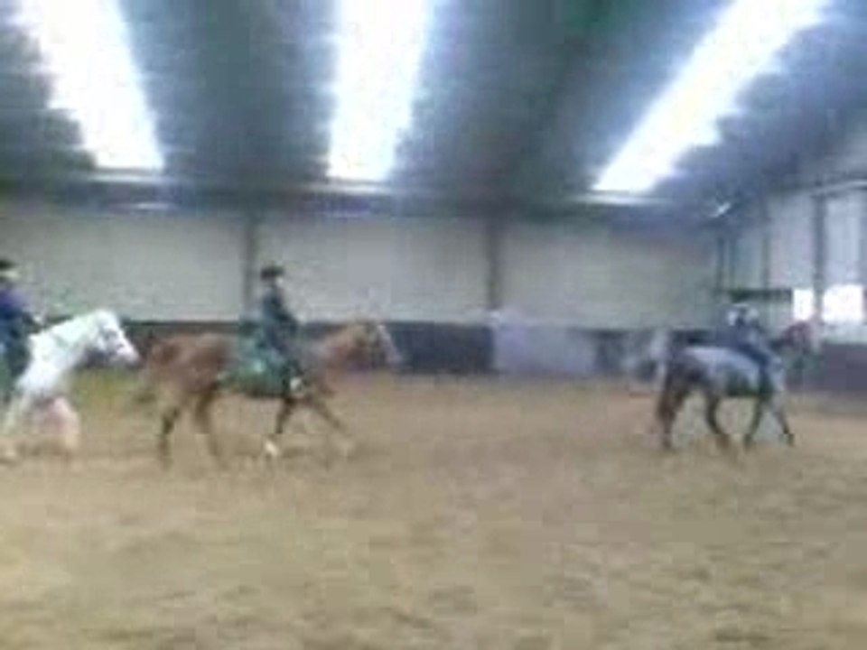 spectacle d'équitation