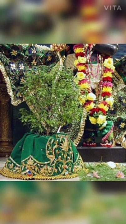 सखी तुलसी ना सुखाने पाए अपने आँगन की