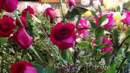 एक सच्ची  कहानी || Motivational Video || Ragini Motive