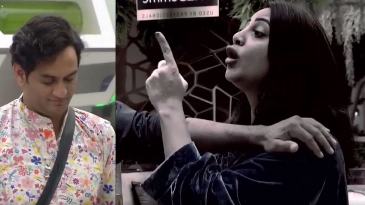 Bigg Boss 14: Arshi Khan को मरने पर Vikas Gupta...