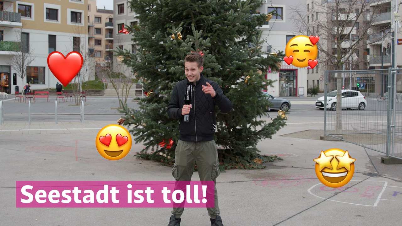 Wie lebt es sich in der Seestadt?