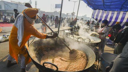 Sarson Saag, Pizza! delicious foods in farmers' protest