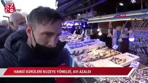 Hamsi sürüleri kuzeye yöneldi, avı azaldı