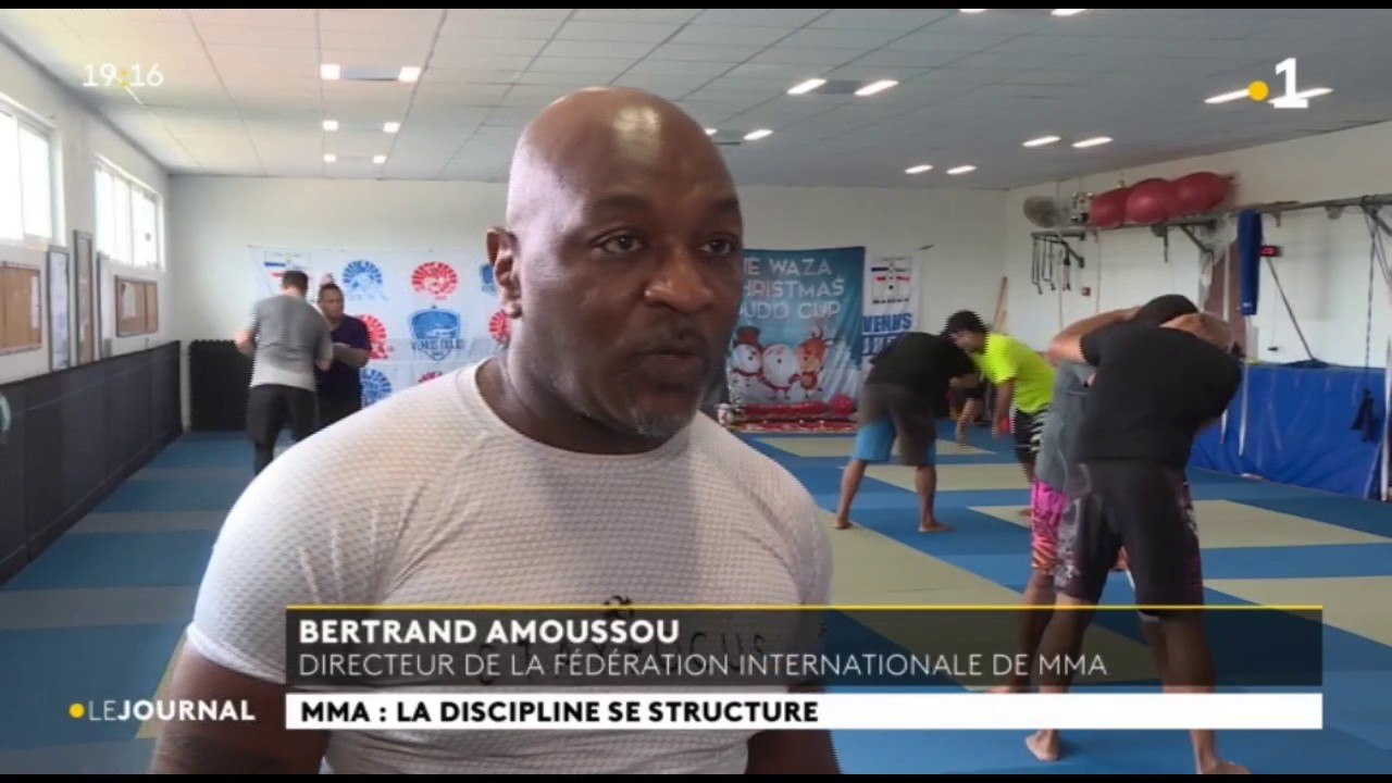 MMA : la discipline se structure
