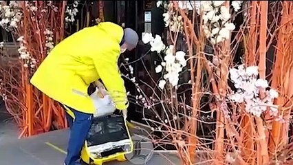 Así se vivirá la Navidad  en algunos países del mundo