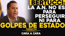 Bertucci: La A.N. no es para perseguir ni para golpes de estado | Cara a cara Impacto Venezuela