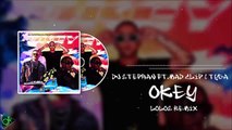 DJ Stephan feat. Mad Clip & Tyga - OKEY (LoLos Remix)
