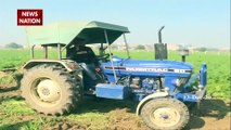 Local farmers are working in fields near Tikri border amid protest