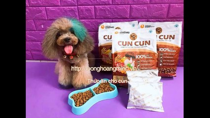 Su dung Video tuong tac day hoc ca the hoa