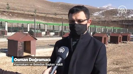 Yıllardır hizmetlerden mahrum bırakılan Yüksekova'nın çehresi projelerle değişiyor