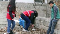 AĞRI - Kızılay gönüllüleri Kovid-19 kısıtlamasında sokak hayvanlarını unutmadı