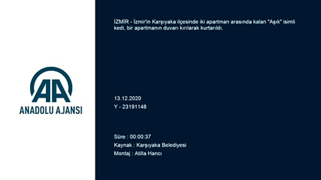 İZMİR - İki bina arasında mahsur kalan kedi duvar kırılarak kurtarıldı