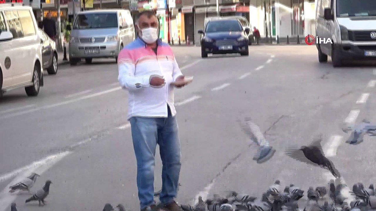 Sokağa çıkma kısıtlamasında güvercinleri besledi