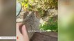 A squirrel decided this woman would be his mom