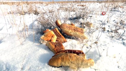 Yakutiye Belediyesi Gençlik Meclisi’nin gönüllü gençlerinden anlamlı etkinlik