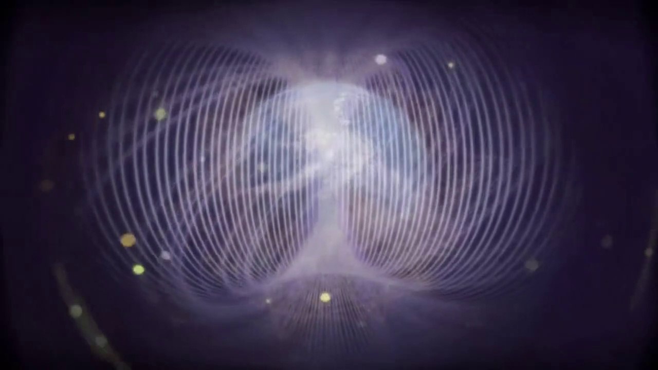 The Template 2013 Tour Promotion